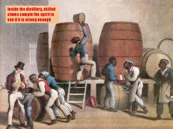 Inside the distillery, skilled slaves sample the spirit to see if it is strong