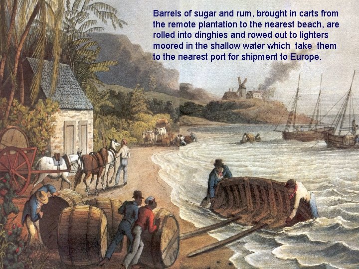 Barrels of sugar and rum, brought in carts from the remote plantation to the