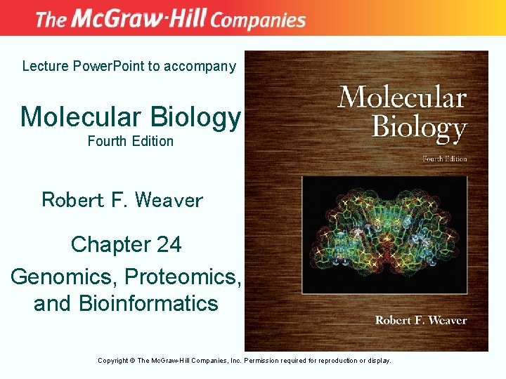 Lecture Power. Point to accompany Molecular Biology Fourth Edition Robert F. Weaver Chapter 24
