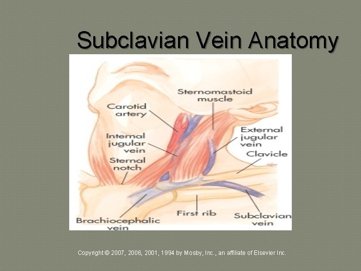 Subclavian Vein Anatomy Copyright © 2007, 2006, 2001, 1994 by Mosby, Inc. , an