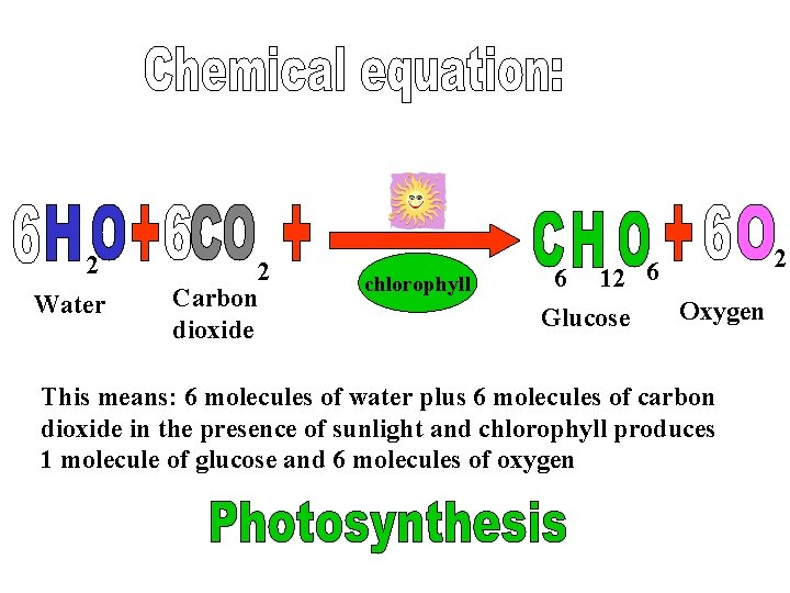2 Water 2 Carbon dioxide chlorophyll 2 6 6 12 Oxygen Glucose This means: