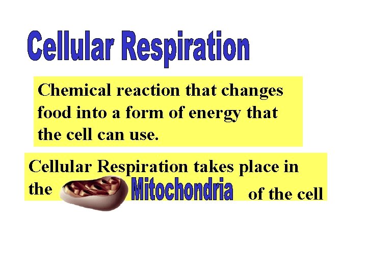 Chemical reaction that changes food into a form of energy that the cell can