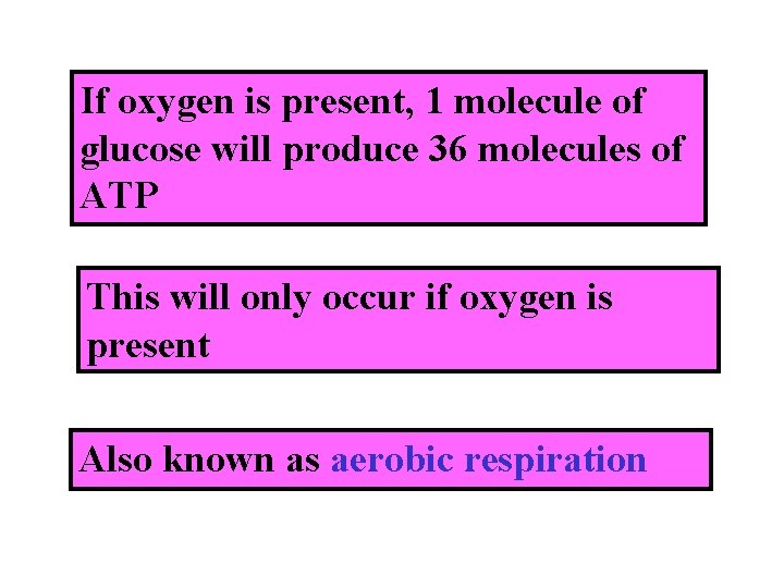 If oxygen is present, 1 molecule of glucose will produce 36 molecules of ATP
