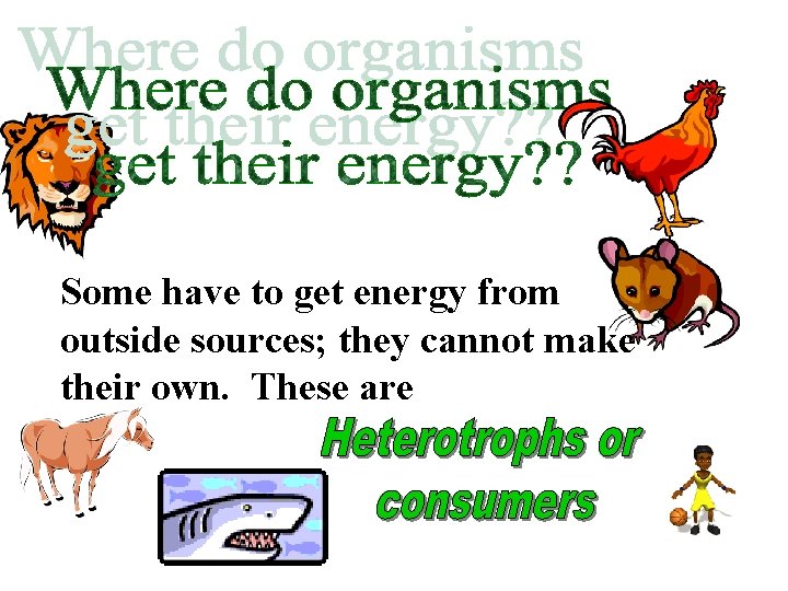 Some have to get energy from outside sources; they cannot make their own. These