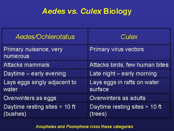 Aedes vs. Culex Biology Aedes/Ochlerotatus Culex Primary nuisance, very numerous Primary virus vectors Attacks Aedes vs. Culex Biology Aedes/Ochlerotatus Culex Primary nuisance, very numerous Primary virus vectors Attacks