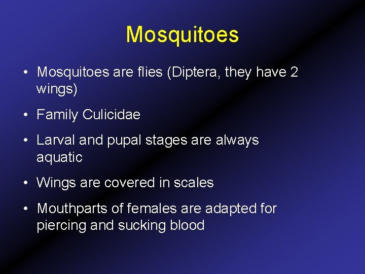 Mosquitoes • Mosquitoes are flies (Diptera, they have 2 wings) • Family Culicidae • Mosquitoes • Mosquitoes are flies (Diptera, they have 2 wings) • Family Culicidae •