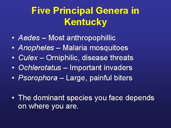 Five Principal Genera in Kentucky • • • Aedes – Most anthropophillic Anopheles –