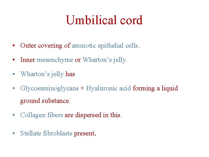 Umbilical cord • Outer covering of amniotic epithelial cells. • Inner mesenchyme or Wharton’s