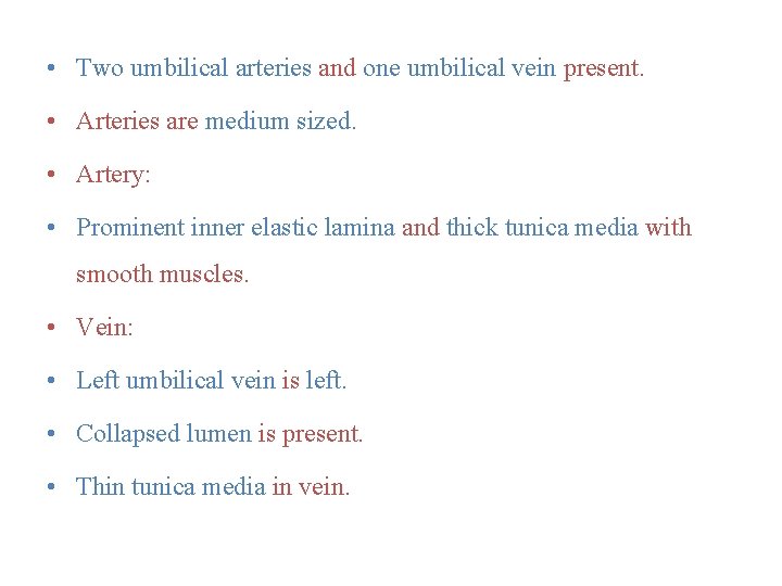  • Two umbilical arteries and one umbilical vein present. • Arteries are medium