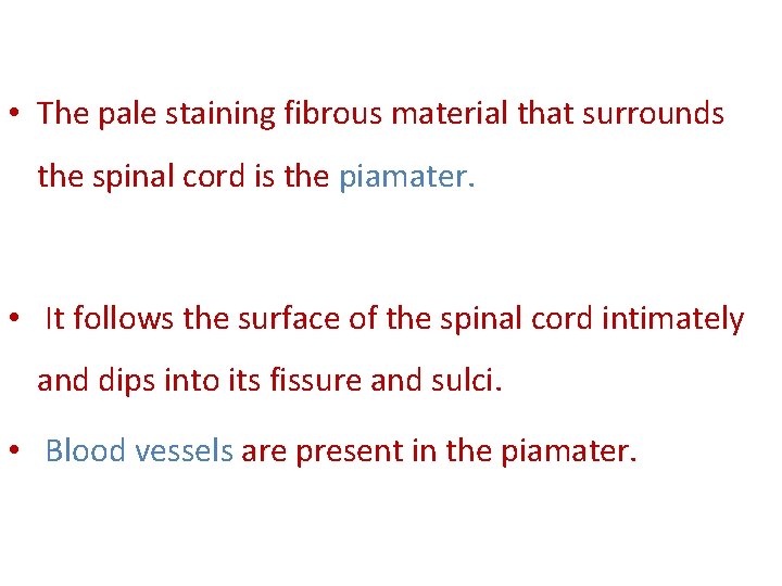  • The pale staining fibrous material that surrounds the spinal cord is the