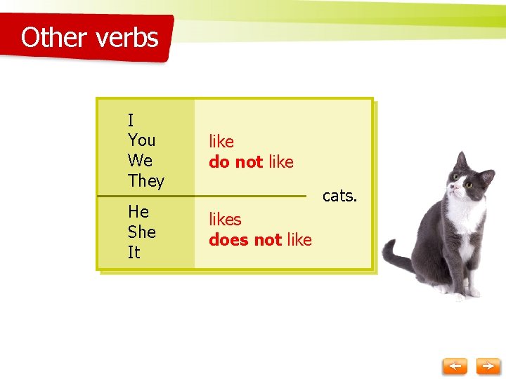 Other verbs I You We They like do not like He She It likes