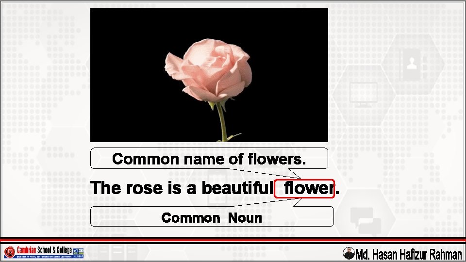 Common name of flowers. The rose is a beautiful flower. Common Noun 