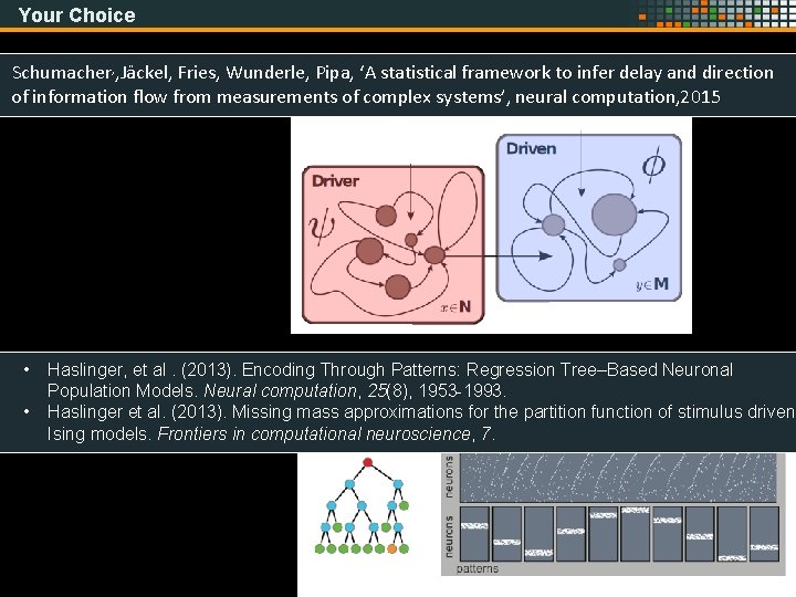 Your Choice Schumacher, , Jäckel, Fries, Wunderle, Pipa, ‘A statistical framework to infer delay