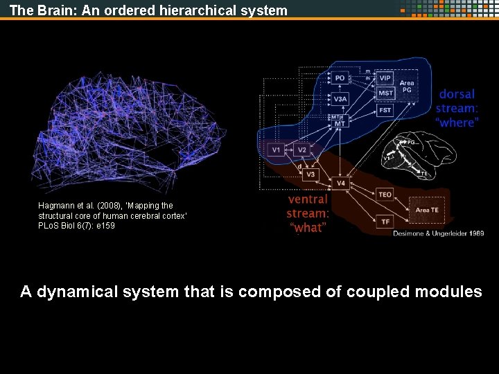 The Brain: An ordered hierarchical system Hagmann et al. (2008), ’Mapping the structural core