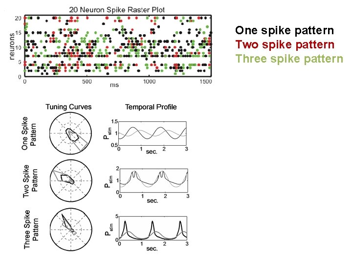 One spike pattern Two spike pattern Three spike pattern 