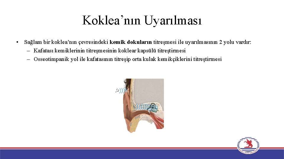 Koklea’nın Uyarılması • Sağlam bir koklea’nın çevresindeki kemik dokuların titreşmesi ile uyarılmasının 2 yolu