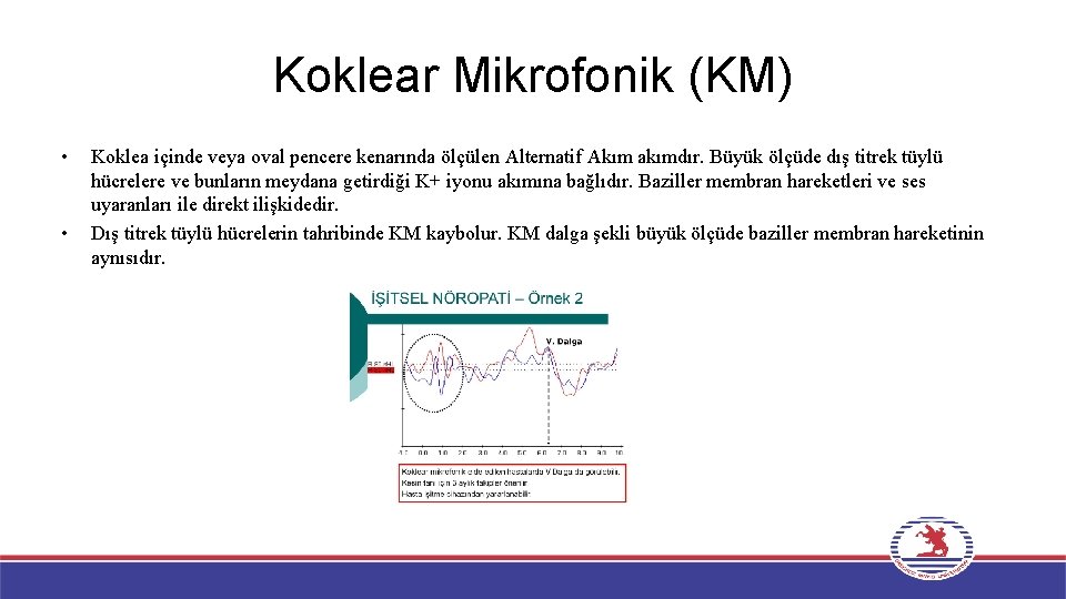 Koklear Mikrofonik (KM) • • Koklea içinde veya oval pencere kenarında ölçülen Alternatif Akım