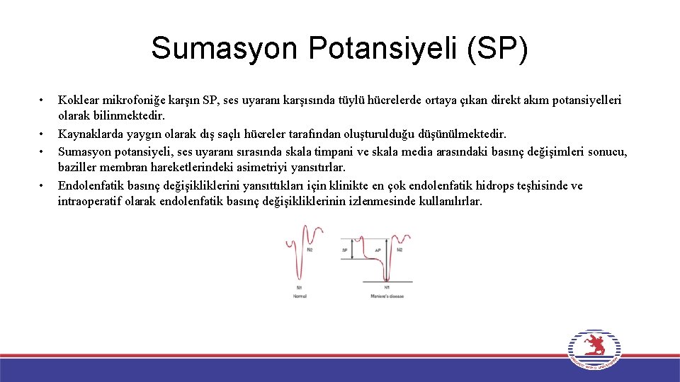 Sumasyon Potansiyeli (SP) • • Koklear mikrofoniğe karşın SP, ses uyaranı karşısında tüylü hücrelerde