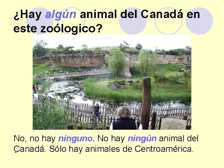 ¿Hay algún animal del Canadá en este zoólogico? No, no hay ninguno. No hay