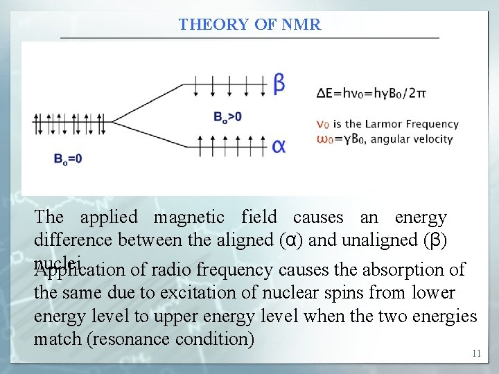 THEORY OF NMR The applied magnetic field causes an energy difference between the aligned