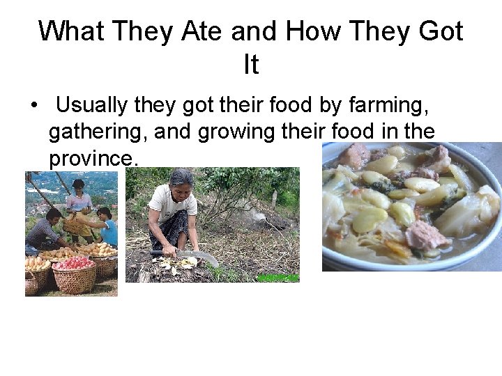 What They Ate and How They Got It • Usually they got their food