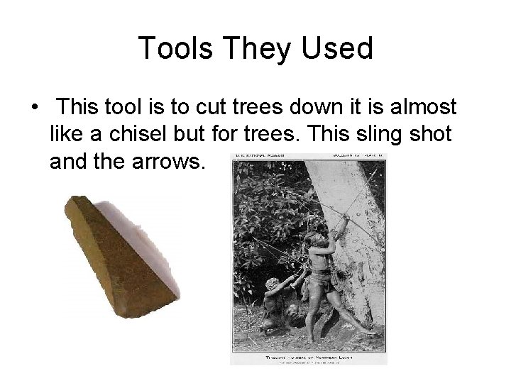Tools They Used • This tool is to cut trees down it is almost