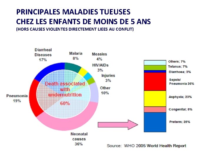 PRINCIPALES MALADIES TUEUSES CHEZ LES ENFANTS DE MOINS DE 5 ANS (HORS CAUSES VIOLENTES