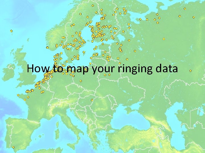 How to map your ringing data 