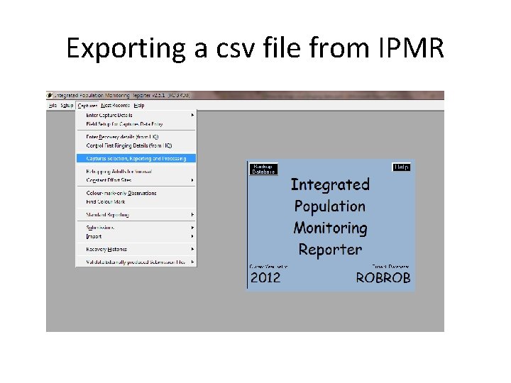 Exporting a csv file from IPMR 