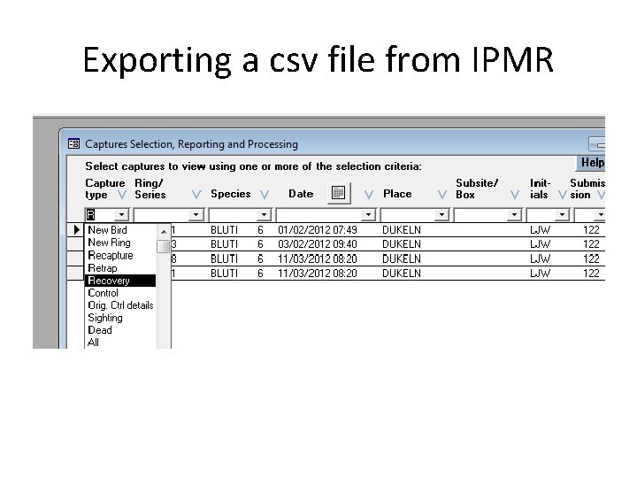 Exporting a csv file from IPMR 