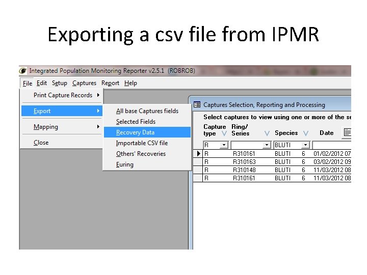 Exporting a csv file from IPMR 