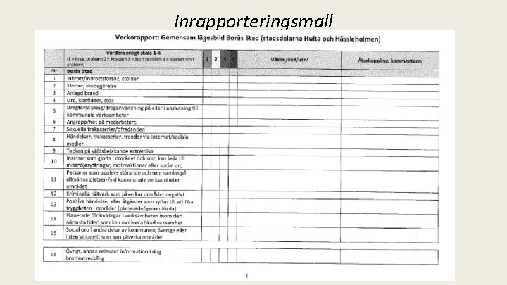 Inrapporteringsmall 