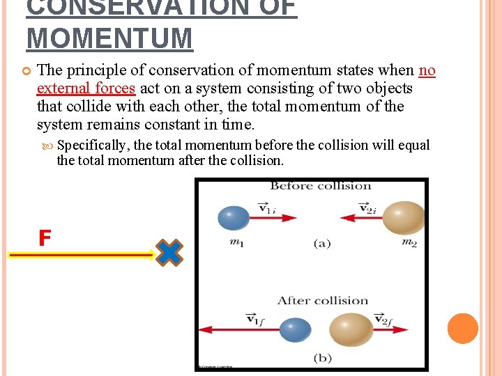 CONSERVATION OF MOMENTUM The principle of conservation of momentum states when no external forces