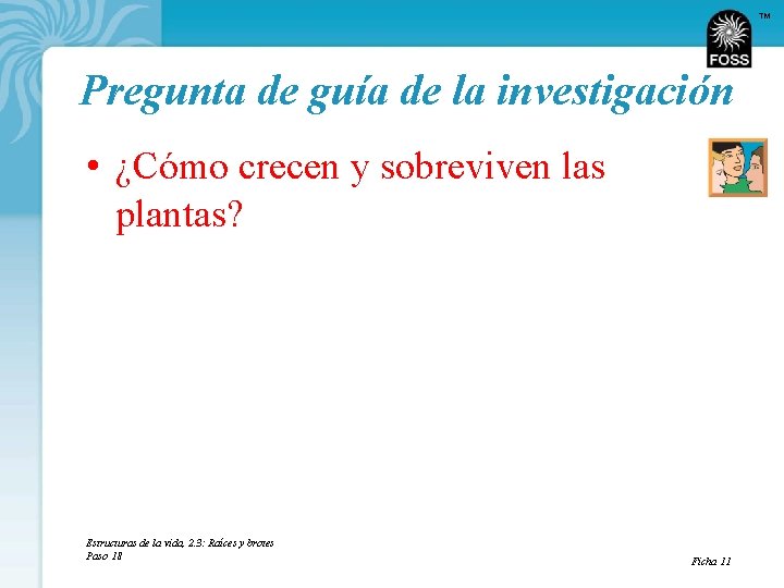 TM Pregunta de guía de la investigación • ¿Cómo crecen y sobreviven las plantas?