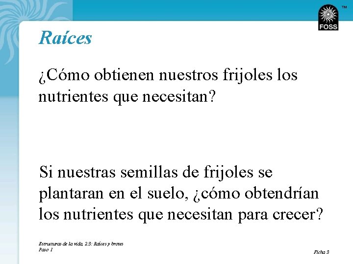 TM Raíces ¿Cómo obtienen nuestros frijoles los nutrientes que necesitan? Si nuestras semillas de