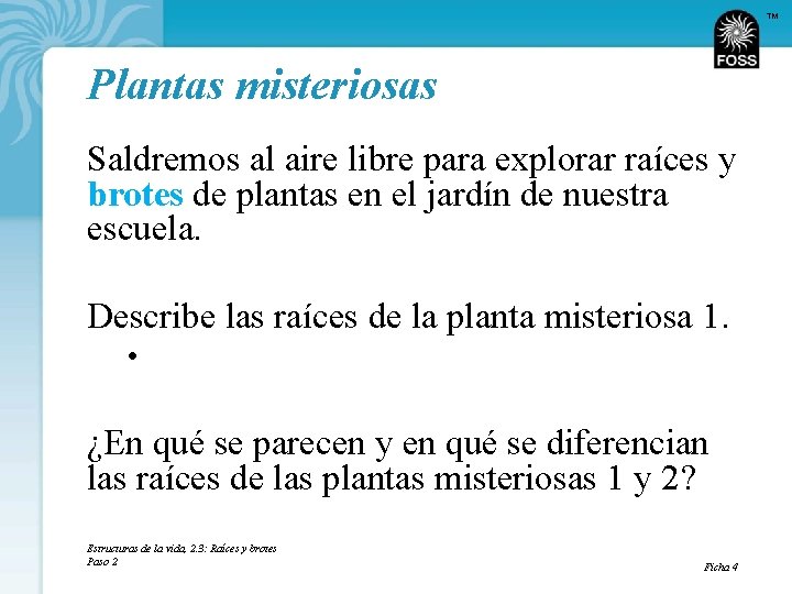 TM Plantas misteriosas Saldremos al aire libre para explorar raíces y brotes de plantas