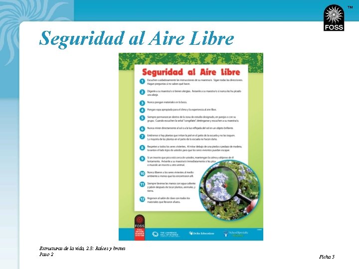 TM Seguridad al Aire Libre Estructuras de la vida, 2. 3: Raíces y brotes