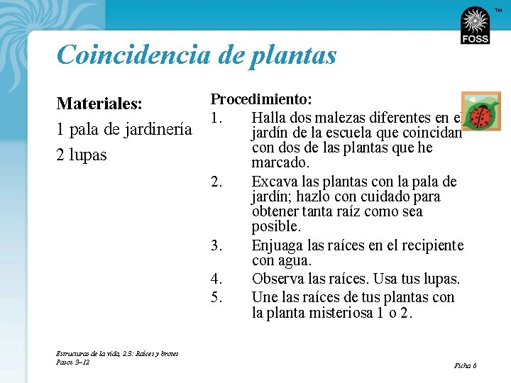 TM Coincidencia de plantas Materiales: 1 pala de jardinería 2 lupas Estructuras de la