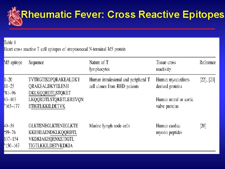 Rheumatic Fever: Cross Reactive Epitopes 