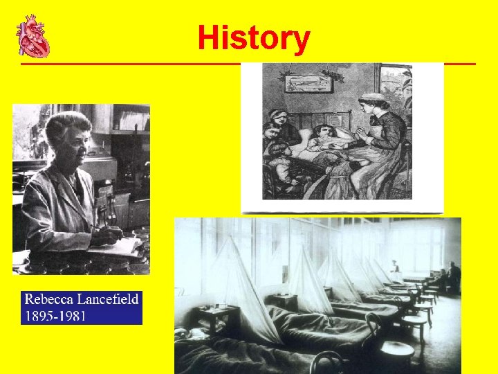 History 
