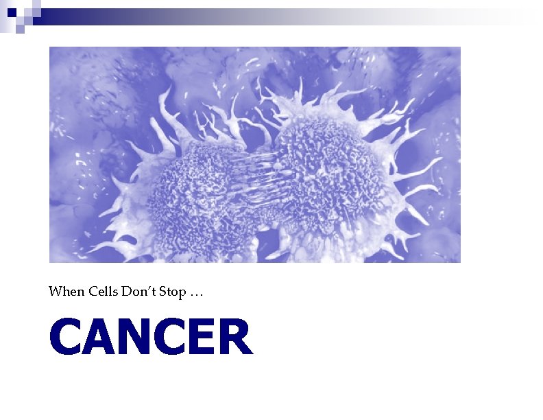 When Cells Don’t Stop … CANCER 