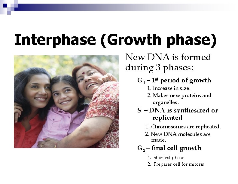 Interphase (Growth phase) New DNA is formed during 3 phases: G 1 – 1