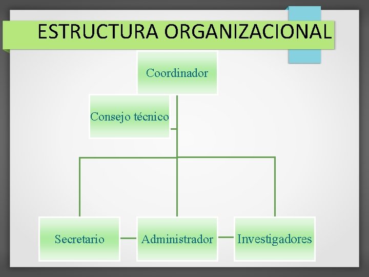 ESTRUCTURA ORGANIZACIONAL Coordinador Consejo técnico Secretario Administrador Investigadores 