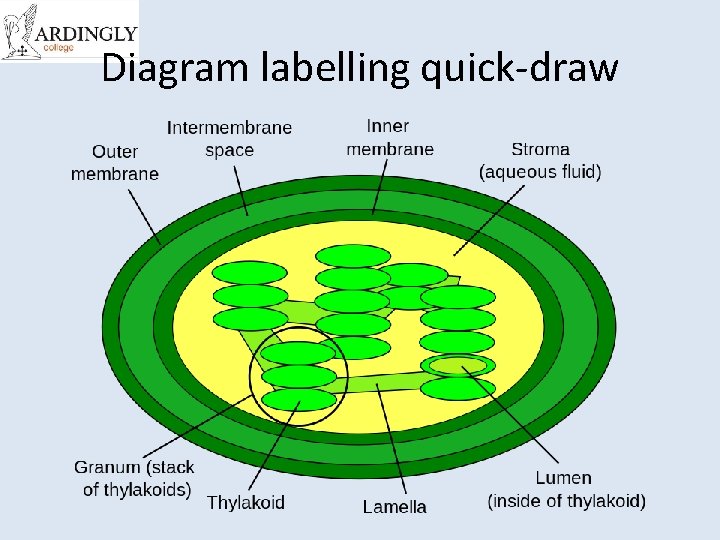 Diagram labelling quick-draw 