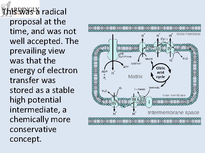 This was a radical proposal at the time, and was not well accepted. The