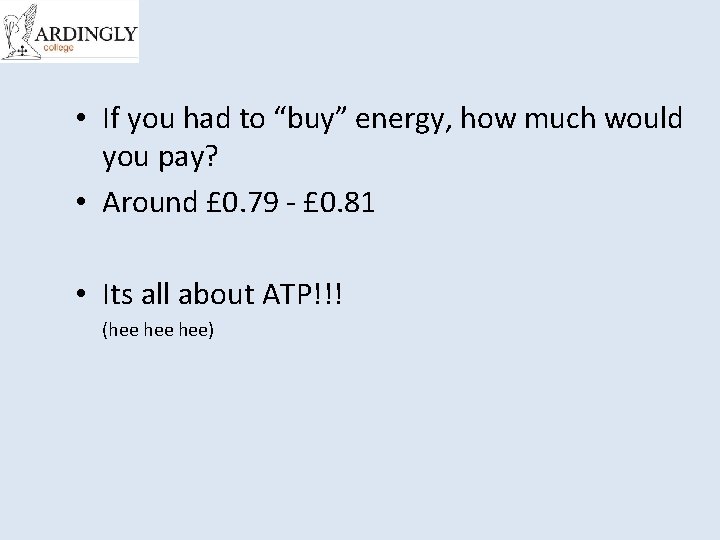  • If you had to “buy” energy, how much would you pay? •