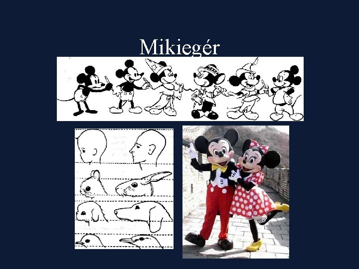 Mikiegér 