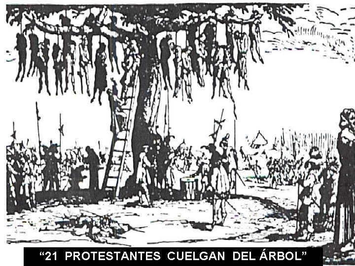 “ 21 PROTESTANTES CUELGAN DEL ÁRBOL” 22 