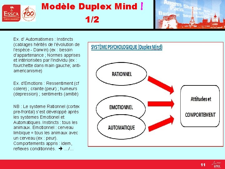 Modèle Duplex Mind 1/2 ! Ex. d’ Automatismes : Instincts (cablages hérités de l’évolution