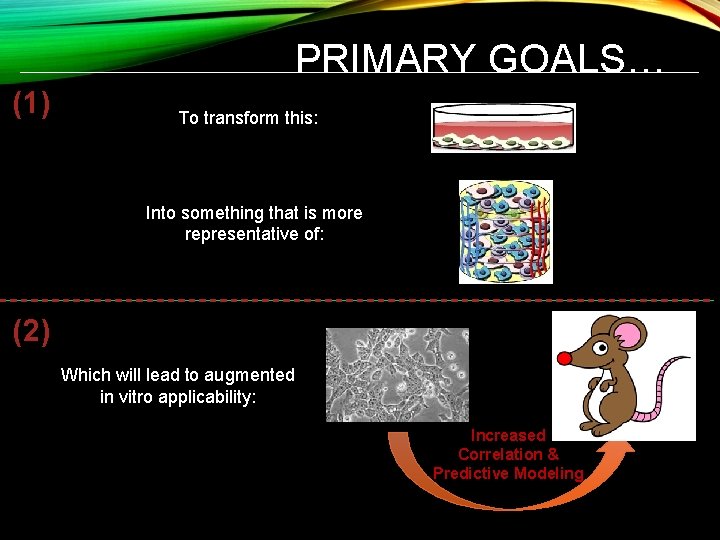 PRIMARY GOALS… (1) To transform this: Into something that is more representative of: (2)